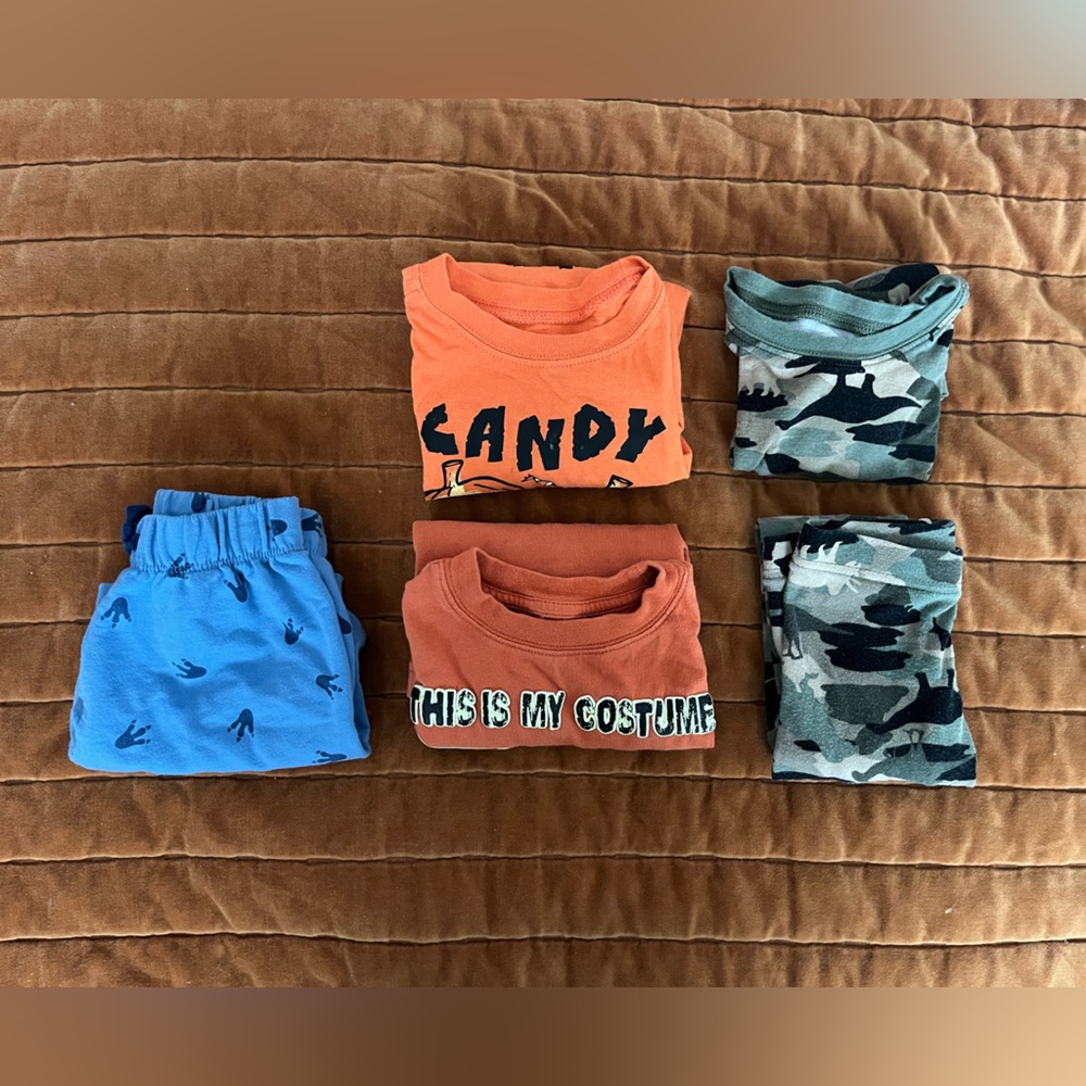 Kids Graphic and Camouflage dinosaur lover Clothing Bundle